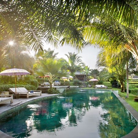 Blue Karma Dijiwa Ubud Eksteriør bilde